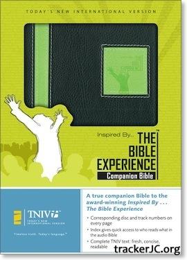 Audio TNIV Dramatized Bible Библия СНМВ Аудиоспектакль (2006) MP3
