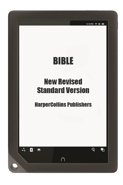 Bible New Revised Standard Version NRSV (fb2, epub, mobi)